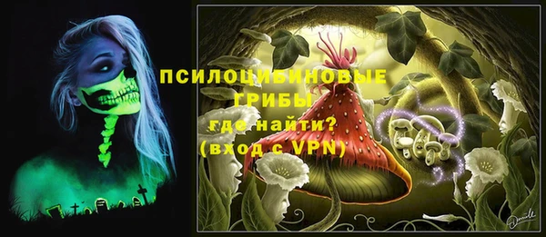 ГАЛЛЮЦИНОГЕННЫЕ ГРИБЫ Надым