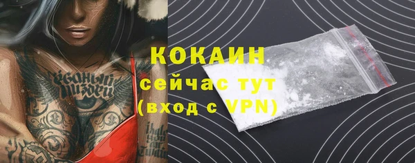 ГАЛЛЮЦИНОГЕННЫЕ ГРИБЫ Надым