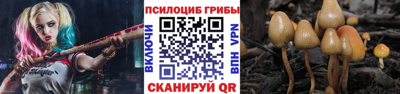 Псилоцибиновые грибы Psilocybine cubensis  как найти   Курлово 